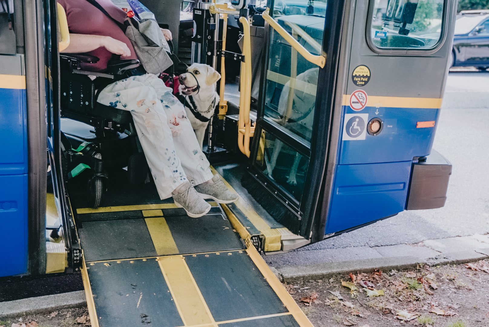 image of a wheelchair user and her yellow lab disembarking from a city bus