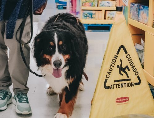Duty of Care: The Costly Burden of Owning a Service Dog