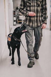 Heeling Assistants Canada place picture